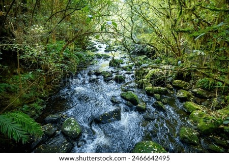 Similar – Image, Stock Photo River trough forest