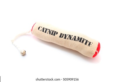 Catnip Toy For Cat On A White Background