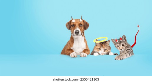 Cats and dog as angle and devil in front of colored background. Funny group of pets dressed with horns, tail and halo. Concept for silly animal personalities or pet dress up. Selective focus. - Powered by Shutterstock - Get 15% off with code: PIKWIZARD15