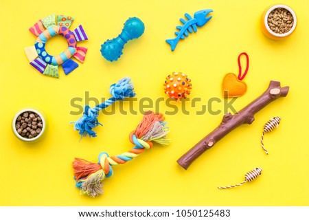 cats and dogs toys and acessories for pets yellow background top view