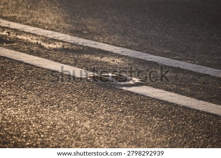 Cats Eye Located on solid white line indicating the centre of a carriageway where overtaking is forbidden