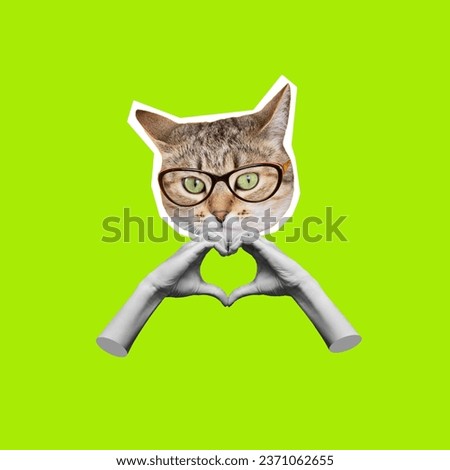 Cat's head in glasses showing a heart shape with hands isolated on light green color background. Feelings and emotions. 3d trendy collage in magazine style. Contemporary art. Modern design