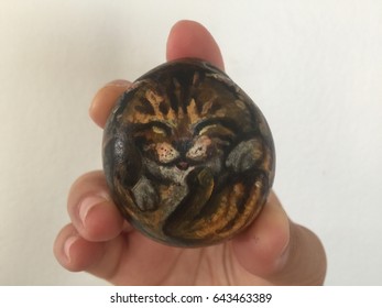 Cats Painting On Rocks Taken With A Phone.