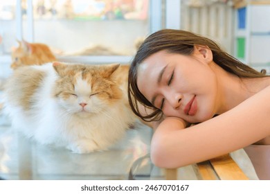 Cats of various breeds, close-up, and a young woman resting with her beloved cat on holiday. - Powered by Shutterstock