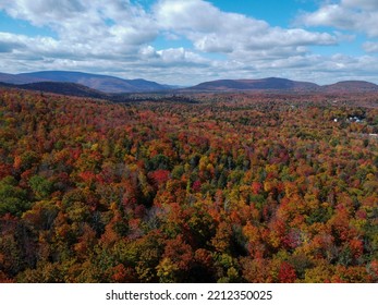 The CatSkills Mountains Arial View NY
