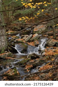 Catskills Upstate New York Hiking Fall Foliage 