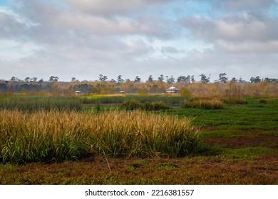 Cattail Marsh Wetland Facility Beaumont Texas 