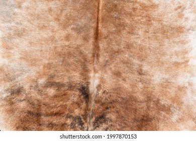 Cattle Animal Skin Hides  Closeup Photo Image Abstract Background  Detail Of Cleaned Treated  Together  To Make Fur Rug Carpet Decor Lifestyle Living Interior.