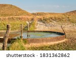 cattle drinking hole in a prairie of Nebraska Sandhills - fall morning scenery at Nabraska National Forest