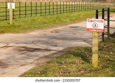 cattle grid and cattle grid warning sign