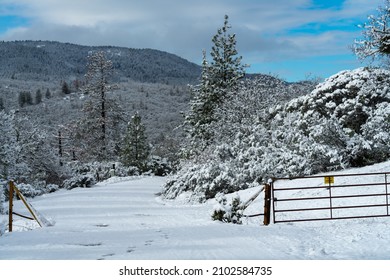 Cattle Guard In Snow. Oregon, Ashland, Cascade Siskiyou National Monument, Winter