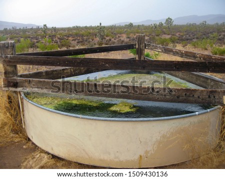 A cattle guzzler with floating algae and a protective fence located in the Tule Desert of rural Nevada.