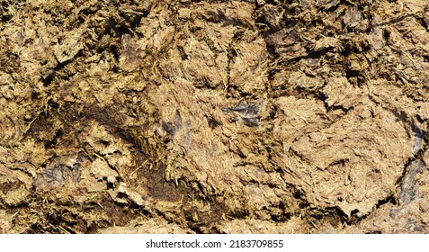 Cattle Manure Texture Background. Close Up On Organic Fertilizer Cow Manure.