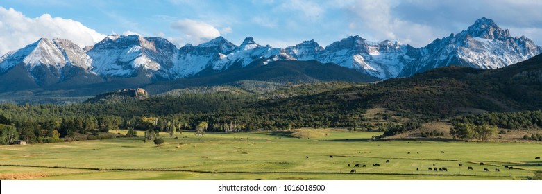 Cattle ranch below the Dallas divide mountains in Southwest Colorado