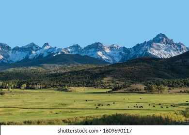 Cattle ranch below the Dallas divide mountains in Southwest Colorado - Shutterstock ID 1609690117