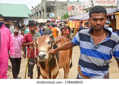 957 Cattle Sellers Images, Stock Photos & Vectors | Shutterstock