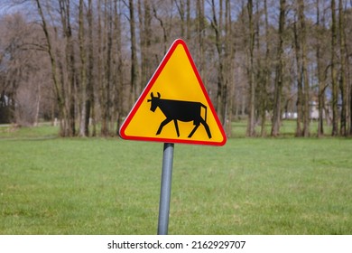 Cattle sign on a road in Wegrow County, Masovia region of Poland