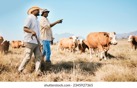 Cattle, teamwork or black people on farm talking by agriculture for livestock, sustainability or agro business. Countryside, men speaking or farmers farming cows, herd or animals on grass field - Powered by Shutterstock