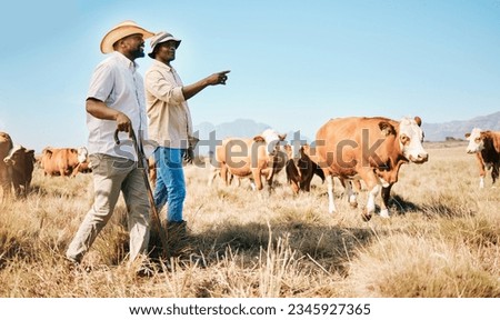 Cattle, teamwork or black people on farm talking by agriculture for livestock, sustainability or agro business. Countryside, men speaking or farmers farming cows, herd or animals on grass field
