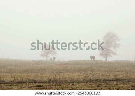 Similar – Image, Stock Photo hang out II Environment