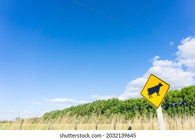 Cattle warning sign on rural road Greytown Wairarapa New Zealand