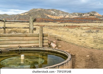 Imagenes Fotos De Stock Y Vectores Sobre Colorado Cattle