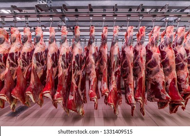 Cattles cut and hanged on hook in a slaughterhouse. Halal cutting.