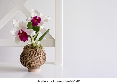 Cattleya orchid on white chair