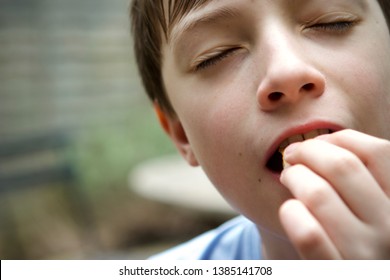 Caucasian Boy Eating A Spring Roll