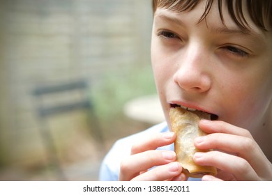 Caucasian Boy Eating A Spring Roll