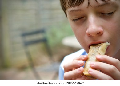 Caucasian Boy Eating A Spring Roll