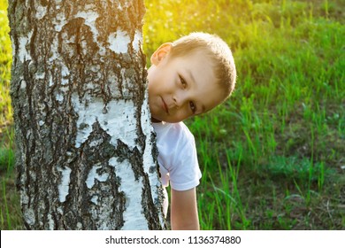 Caucasian Boy Hiding Behind Tree Summer Stock Photo 1136374880 