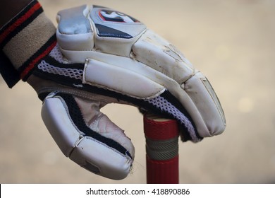 Caucasian Boy Holding Cricket Bat & Glove.