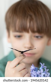 Caucasian Boy Holds On His Finger A Beautiful Tropical Butterfly With Bright Wings. A Child Admires The Wonderful Nature