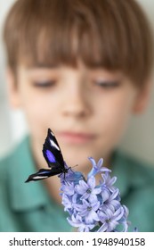 Caucasian Boy Holds On His Finger A Beautiful Tropical Butterfly With Bright Wings. A Child Admires The Wonderful Nature