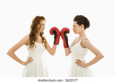 Caucasian bride and Asian bride holding boxing gloves up to each other. - Powered by Shutterstock