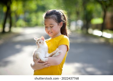 Caucasian child holding kitten in outdoor.Asian young female with cat.Summer outdoor with feline pet.Companion animal with kid.Human bonding with mammal.Beautiful girl in the park during summer.