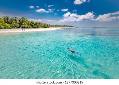 Caucasian Couple Of Tourists Snorkel In Crystal Turquoise Water Near Maldives Island. Perfect Weather Conditions At Luxury Resort Beach Scene, Calm Sea Water, Couple Exotic Water, Underwater Wildlife