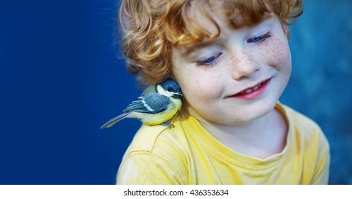 Caucasian Curly Boy And Little Titmouse, Best Friends, Wild Life Animal, Green Peace, Blue Background, Close Up, Advocacy, Safeguard