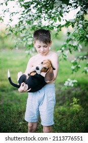 Caucasian Cute Boy and dog (beagle puppy) looking at camera with Blossoming branch in springtime with falling petals