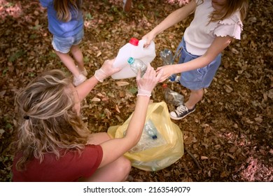 Caucasian Family Picking Up Trash To Garbage Bag From Forest 