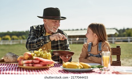 Caucasian farming family having lunch with fresh organic products in countryside outdoors. Smiling grey hair grandfather feeding cheese his little granddaughter. Modern farm lifestyle. Sunny day - Powered by Shutterstock