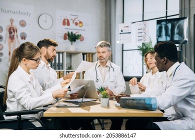 Caucasian Female Doctor Using Wheelchair Sitting With Multiracial Colleagues At Bright Office And Discussion Progress In Medicine. Practitioners Sharing With Knowledge And Ideas During Conference.