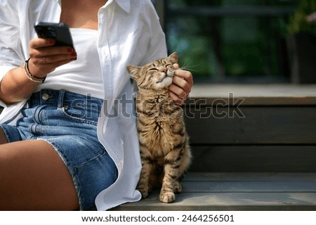 Similar – Image, Stock Photo Staircase with cat