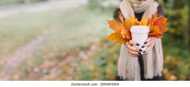 Caucasian girl in grey coat and beige scarf hold in outstretched hands white cup with coffee or tea and colorful bouquet of maple leaves. Hot beverage for autumn days. Space for text. Blank, mockup.