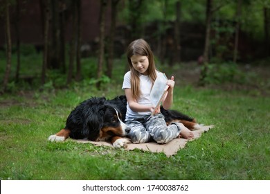 Caucasian Girl Kid Reads And Shows Book To Large Dog In Summer Glade, Child With Bernese Mountain Dog, Friendship Of Child And Dog, Dog Therapy Concept.