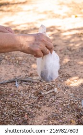 Caucasian Hand Holding A White Bag With Dog Poo After The Dog Did It In The Park