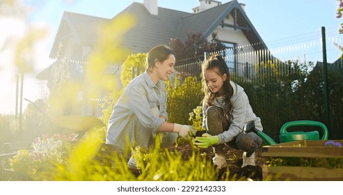 Caucasian happy beautiful mother and teenage daughter digging in ground and planting flowers in garden in sunlight on summer day. Pretty girl helping mommy in orchard. Outside. - Powered by Shutterstock