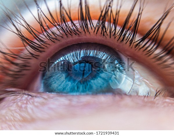 caucasian human blue\
eye in a contact lens looking up close up. contact lens vision\
medical correction\
concept