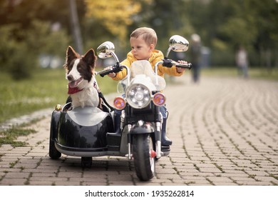 Caucasian Little Boy  Driving Dog In Sidecar Of A Motorcycle Replica Outdoor In A Park